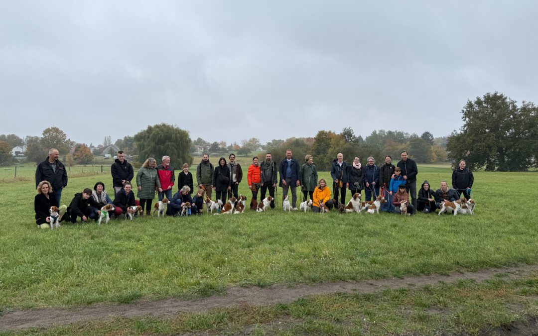 Gruppe Kooikerhondje mit Halter