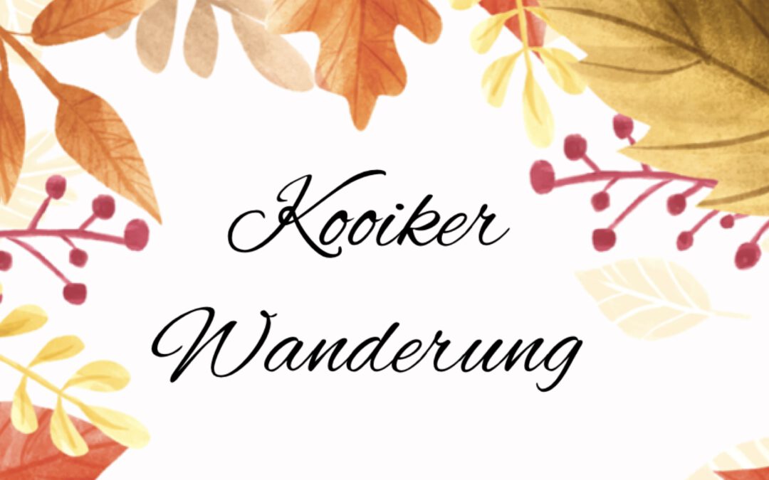 Kooikerspaziergang 2025