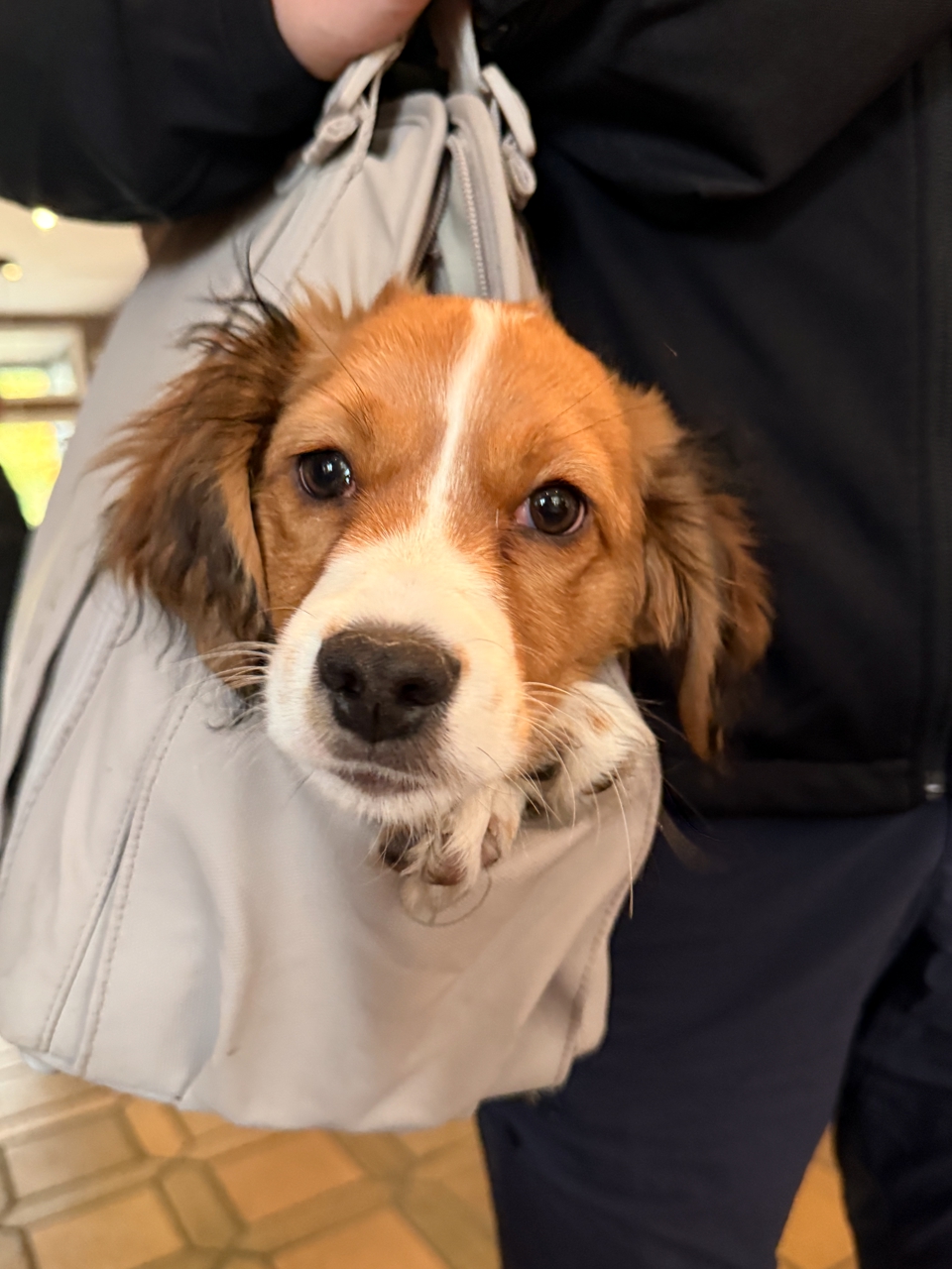 Cpt.Paul in der Tasche