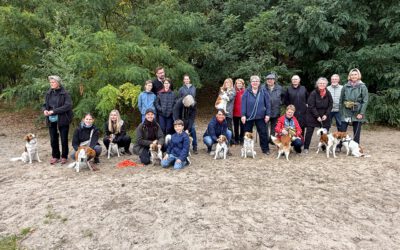 Kooikerspaziergang 2026